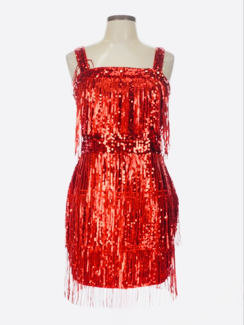 FLAPPER STYLE ~ Red Sequined Fringe Sleeveless Party Dress